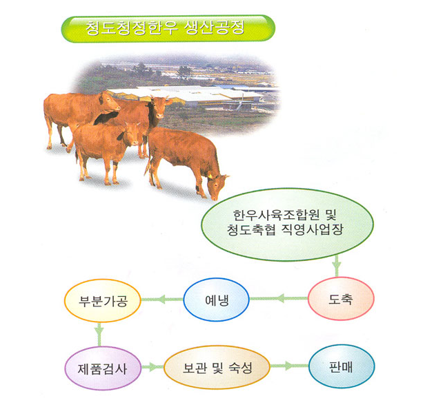 청도청정한우 생산공정